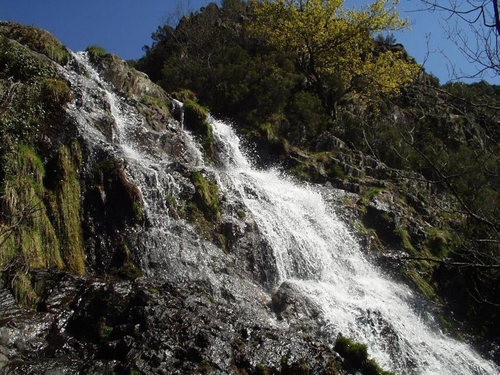 Chez Louise: Onde A Serra Beija O Ceu Lousã Екстериор снимка