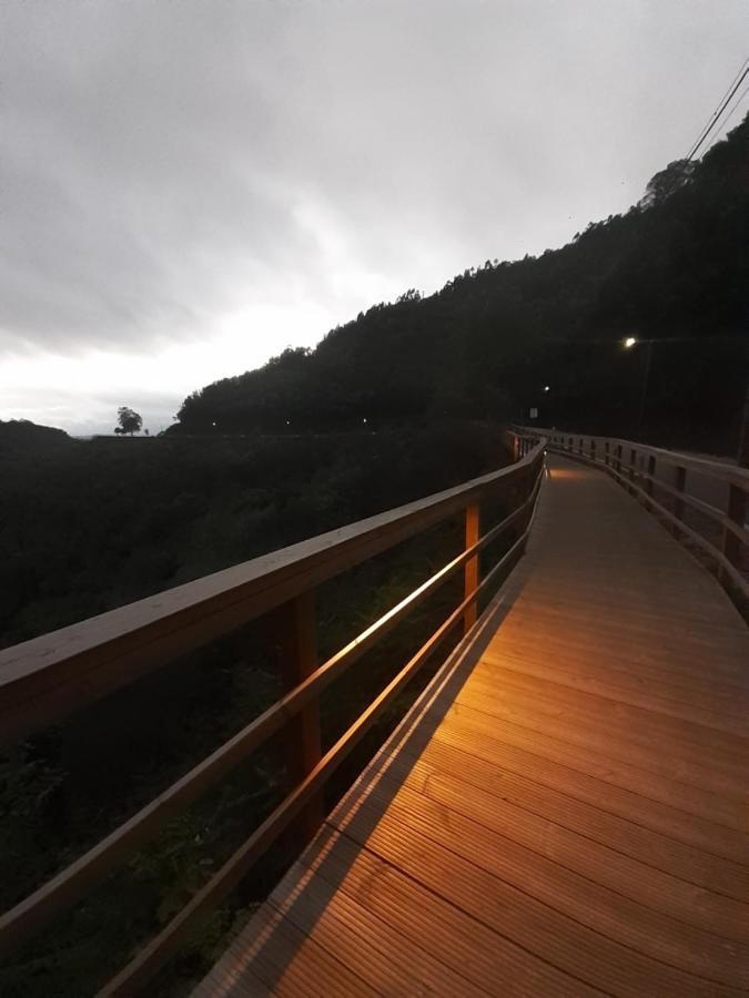 Chez Louise: Onde A Serra Beija O Ceu Lousã Екстериор снимка